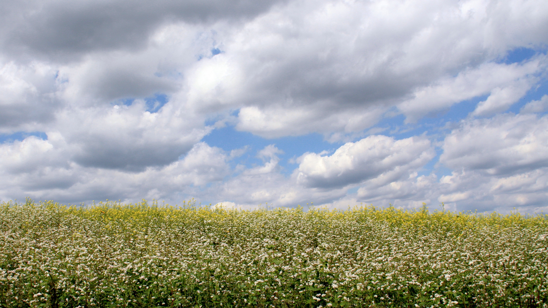 Himmel und Erde