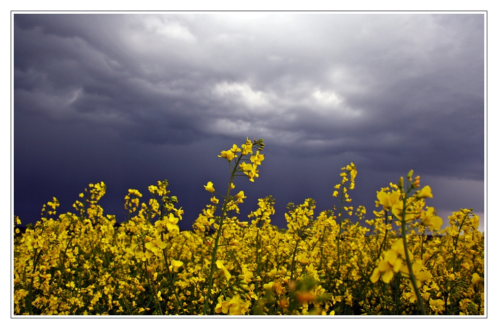 Himmel und Erde....