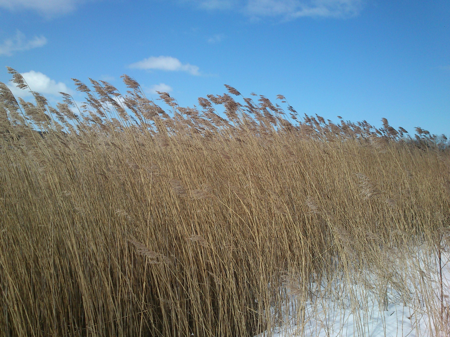 Himmel und Erde