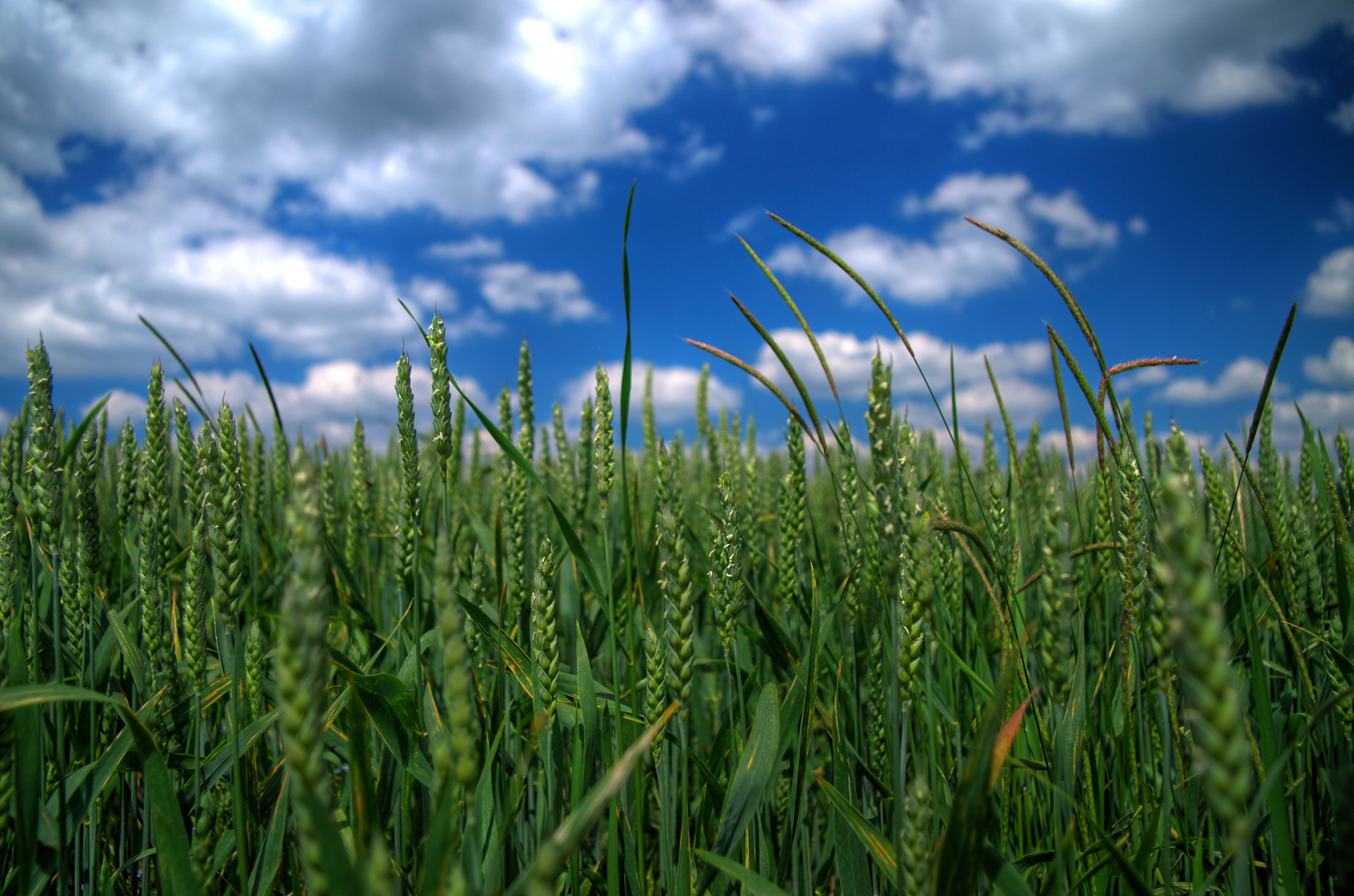 Himmel und Erde