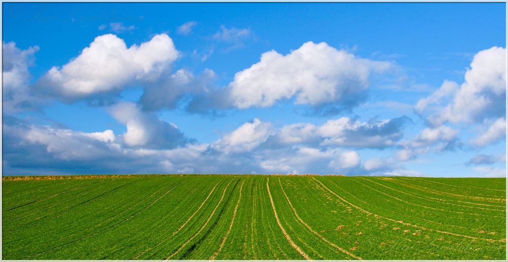 Himmel Und Erde Mit Zwei Wurstsorten - Rezepte Suchen