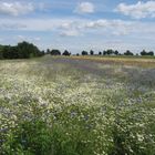 Himmel und Erde