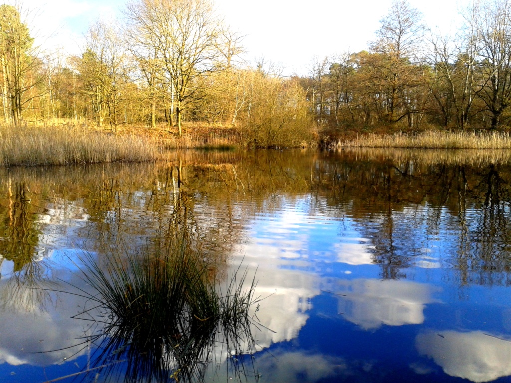 Himmel und Erde