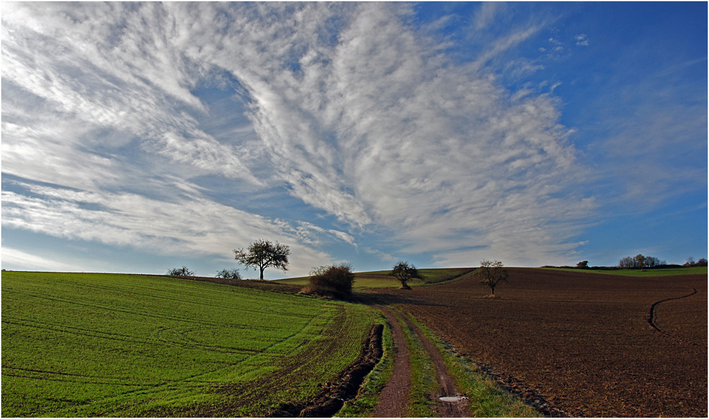 Himmel und Erde Foto &amp; Bild | landschaft, Äcker, felder &amp; wiesen ...