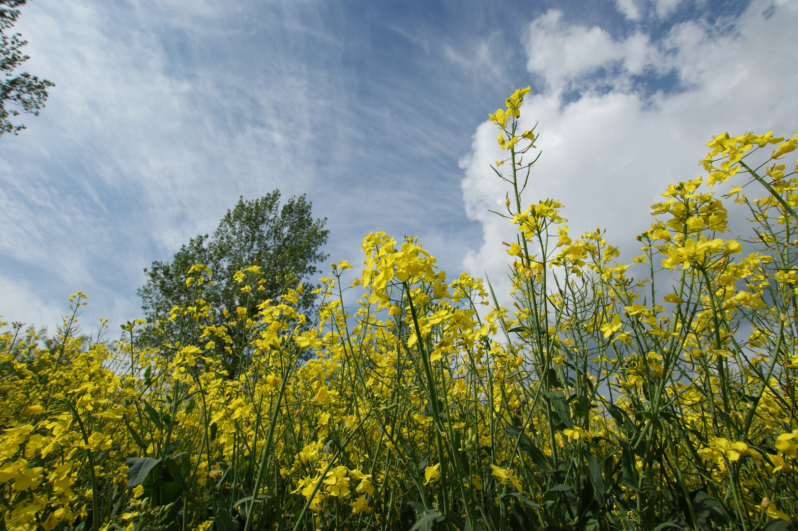 Himmel und Erde