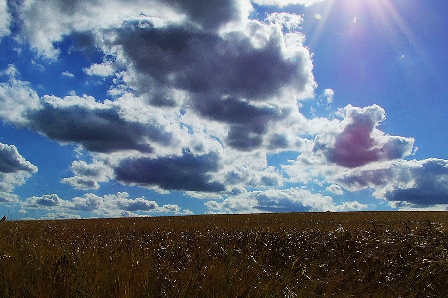 Himmel und Erde I