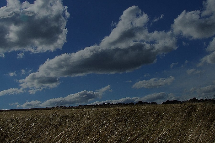 Himmel und Erde II