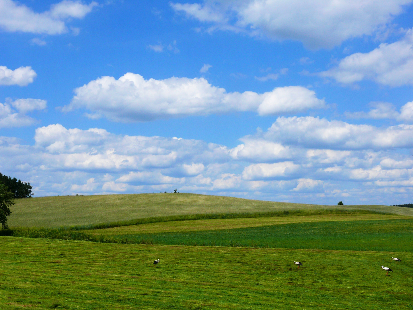 Himmel und Erde in Masuren