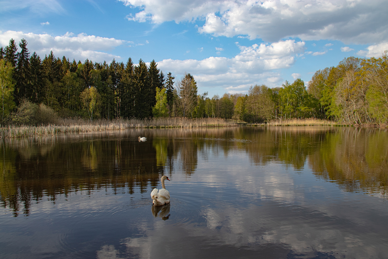 Himmel und Erde oder See