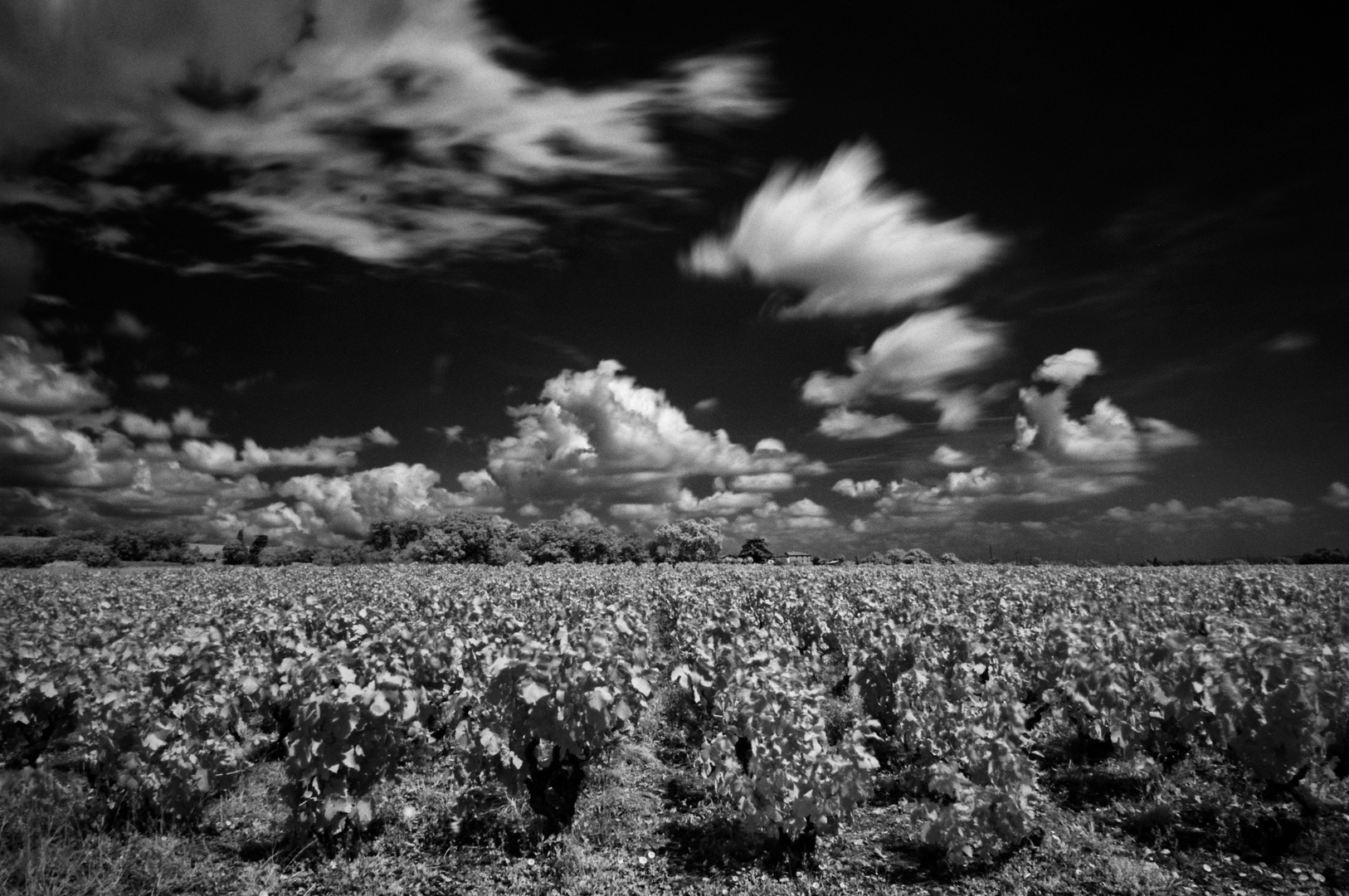 Himmel und Erde (Provence)