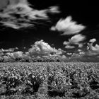 Himmel und Erde (Provence)