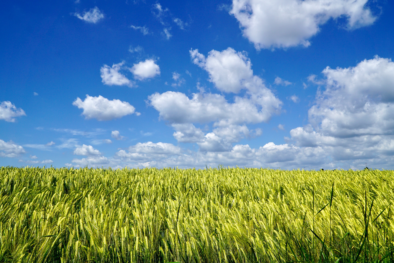 Himmel und Feld