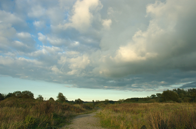 Himmel und Heide