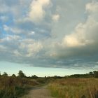 Himmel und Heide