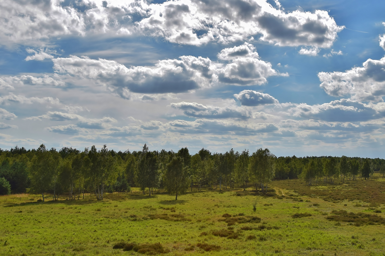 Himmel und Heide 2.