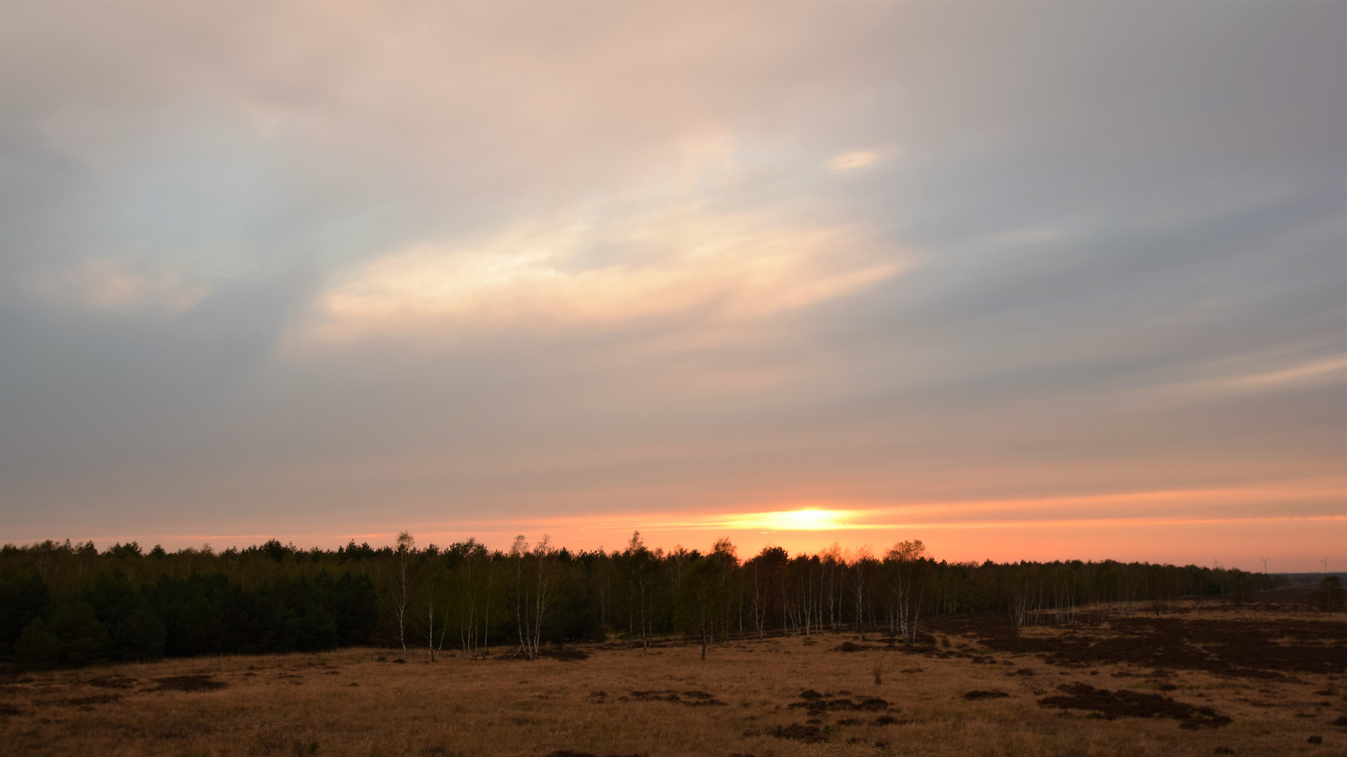 Himmel und Heide 2.a