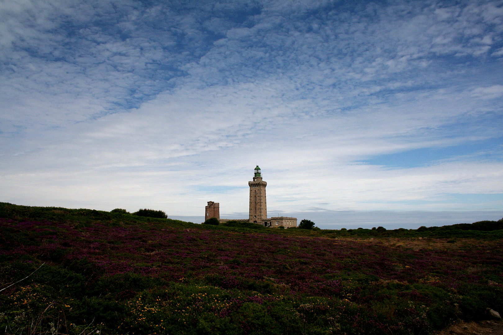 Himmel und Heide am Cap Fréhel