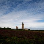 Himmel und Heide am Cap Fréhel