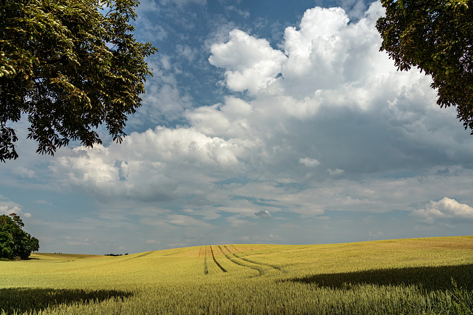 Himmel und Korn