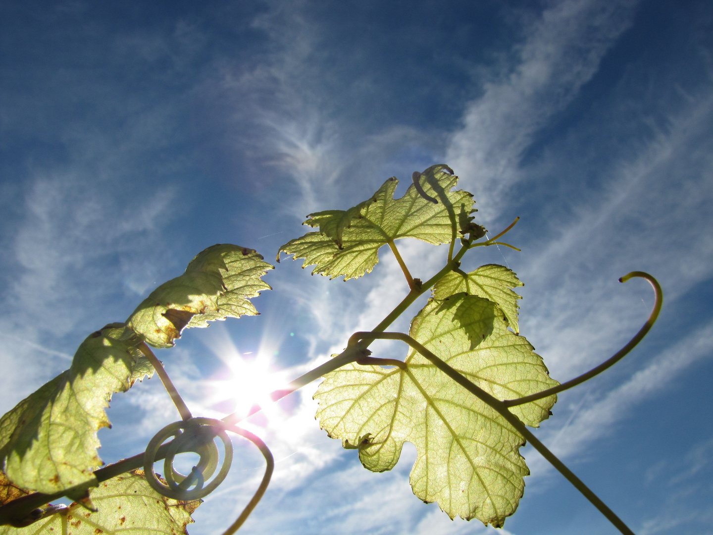 Himmel und mehr