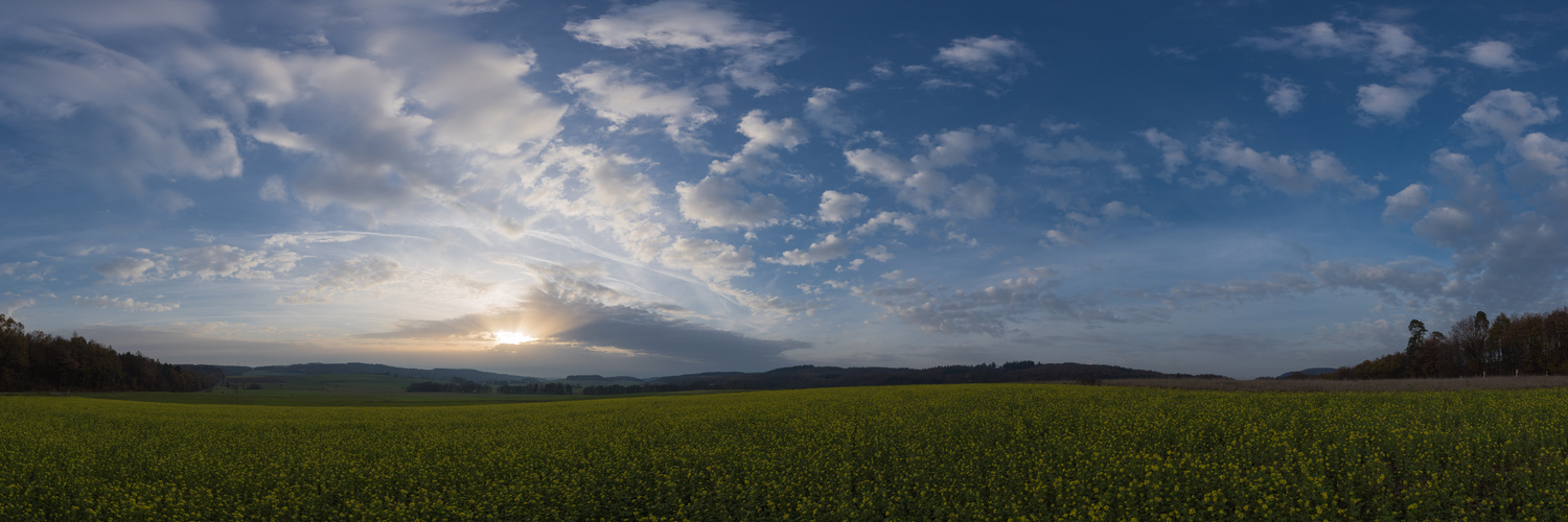 Himmel und Senffeld 