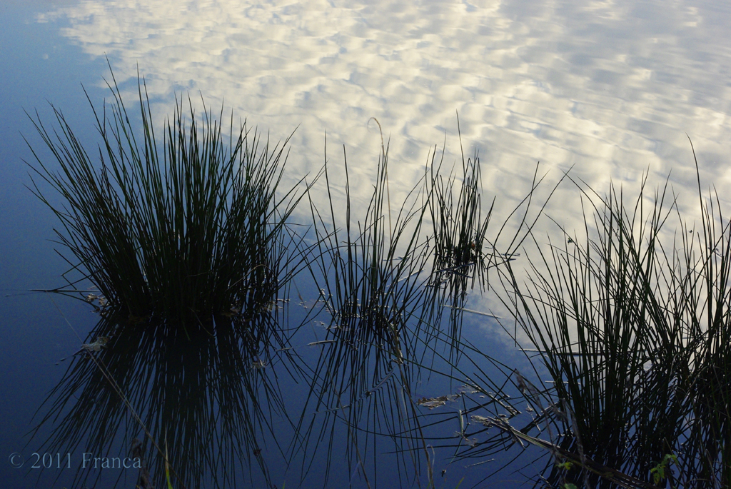 Himmel und Wasser