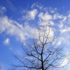 Himmel und Wolken