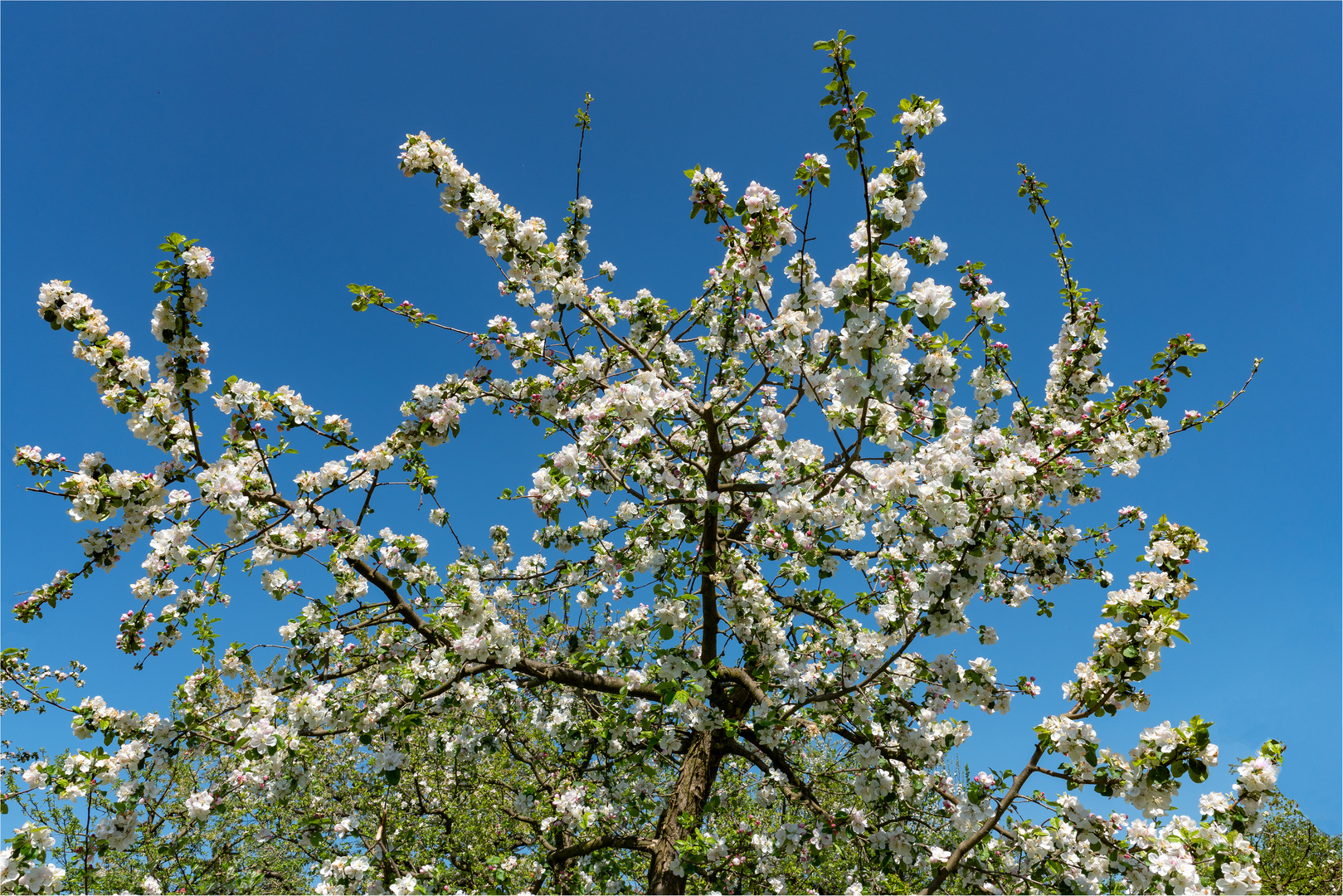 Himmel- Vergleich