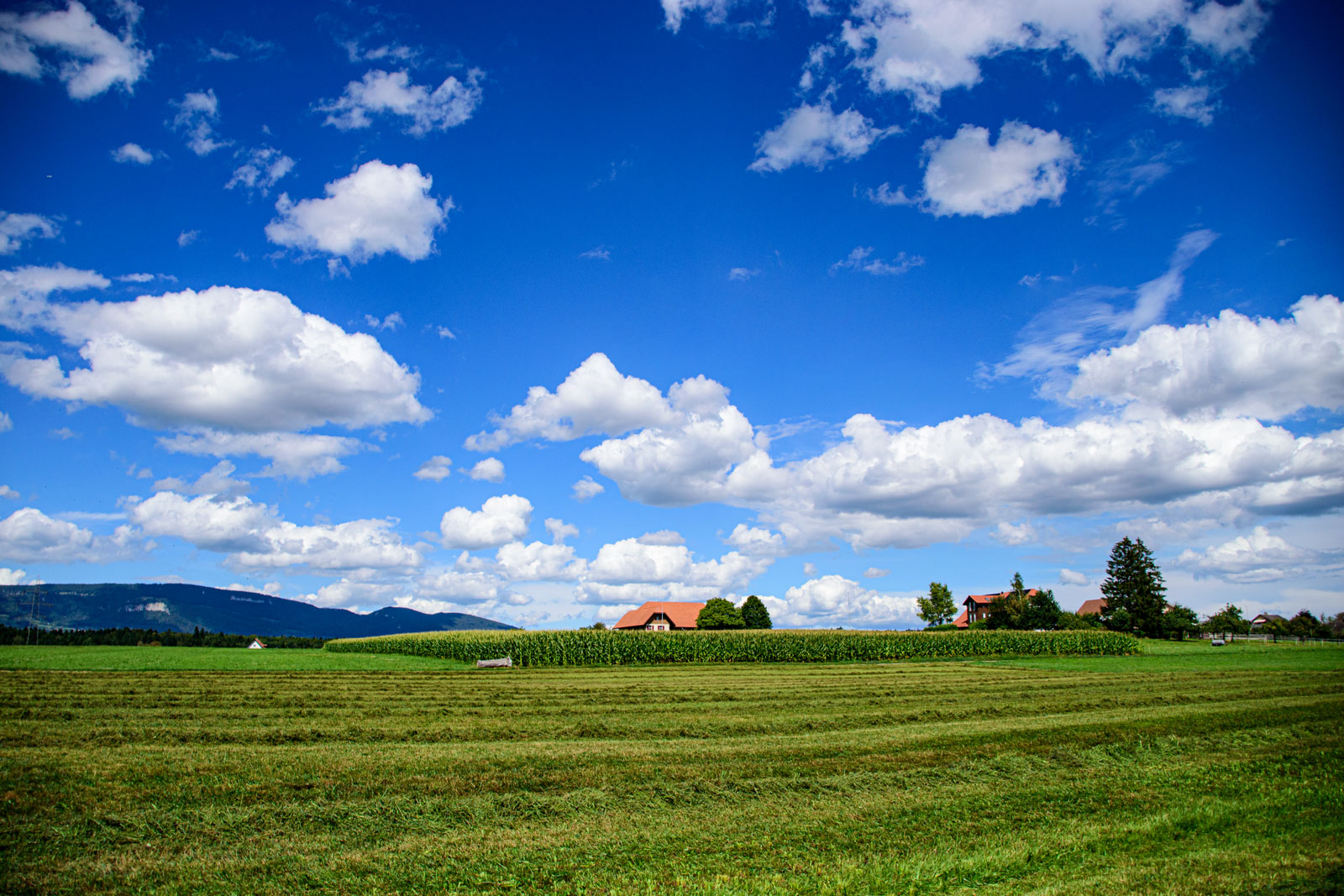 Himmel voller Wolken