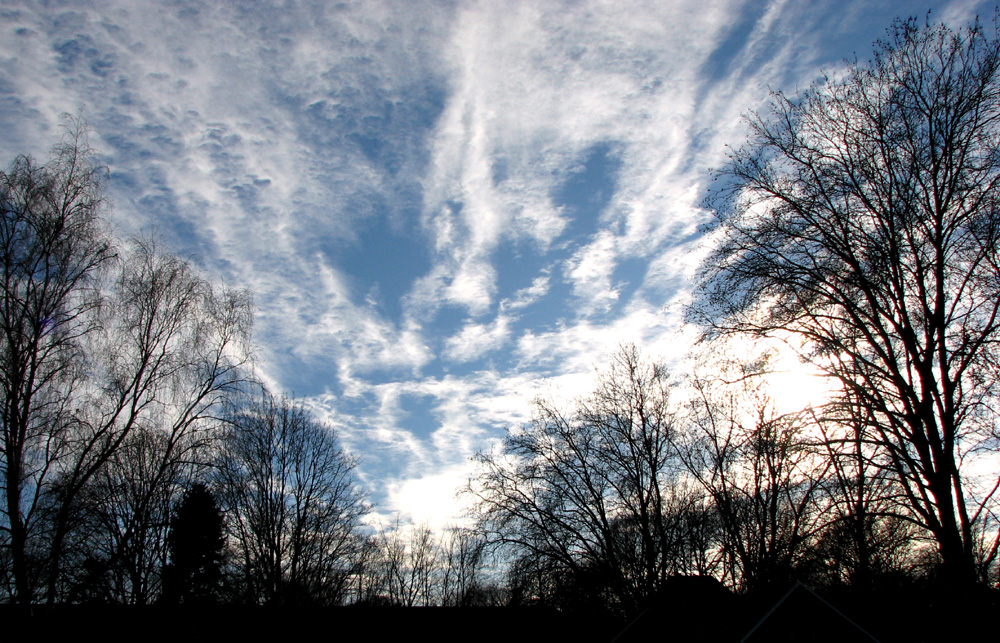 Himmel vom 7.2.08 - 17.30 Uhr