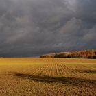 Himmel, Wald und Feld