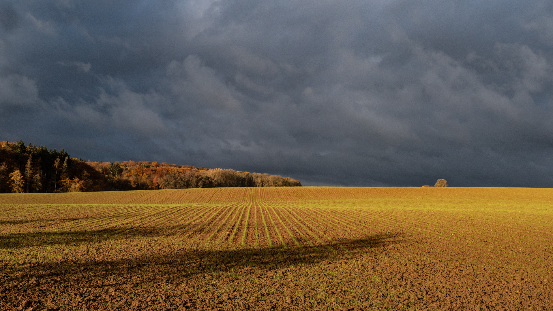 Himmel, Wald und Feld V2