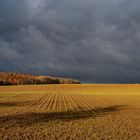 Himmel, Wald und Feld V2