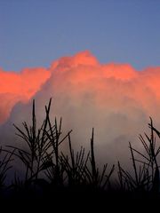 Himmel, WAS für ein Himmel!