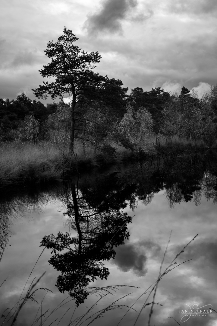 Himmel & Wasser