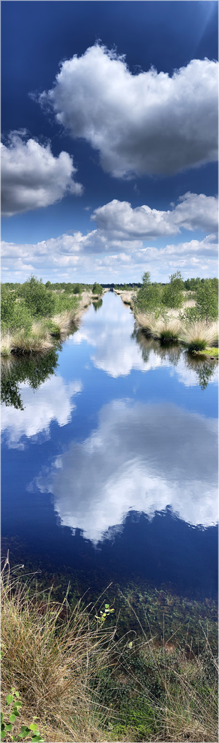 Himmel – Wasser – Moor