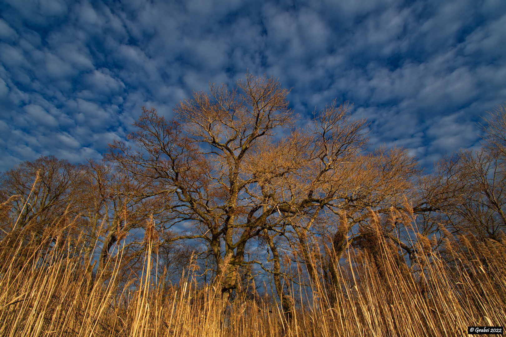 Himmel, weiß blau 