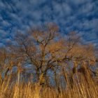 Himmel, weiß blau 