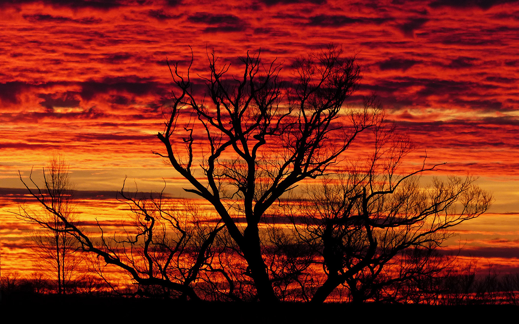 Himmel wie aus Afrika