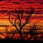 Himmel wie aus Afrika