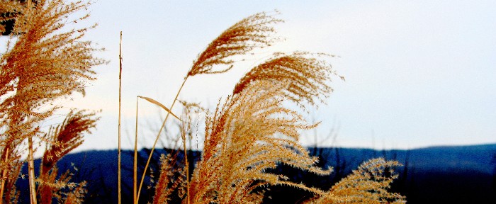 Himmel / Wind