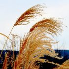 Himmel / Wind