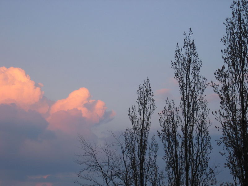 Himmel - Wolken - Bäume