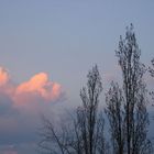 Himmel - Wolken - Bäume