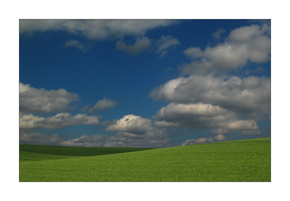 Himmel, Wolken, Sonne, Wind und ein Feld (3)