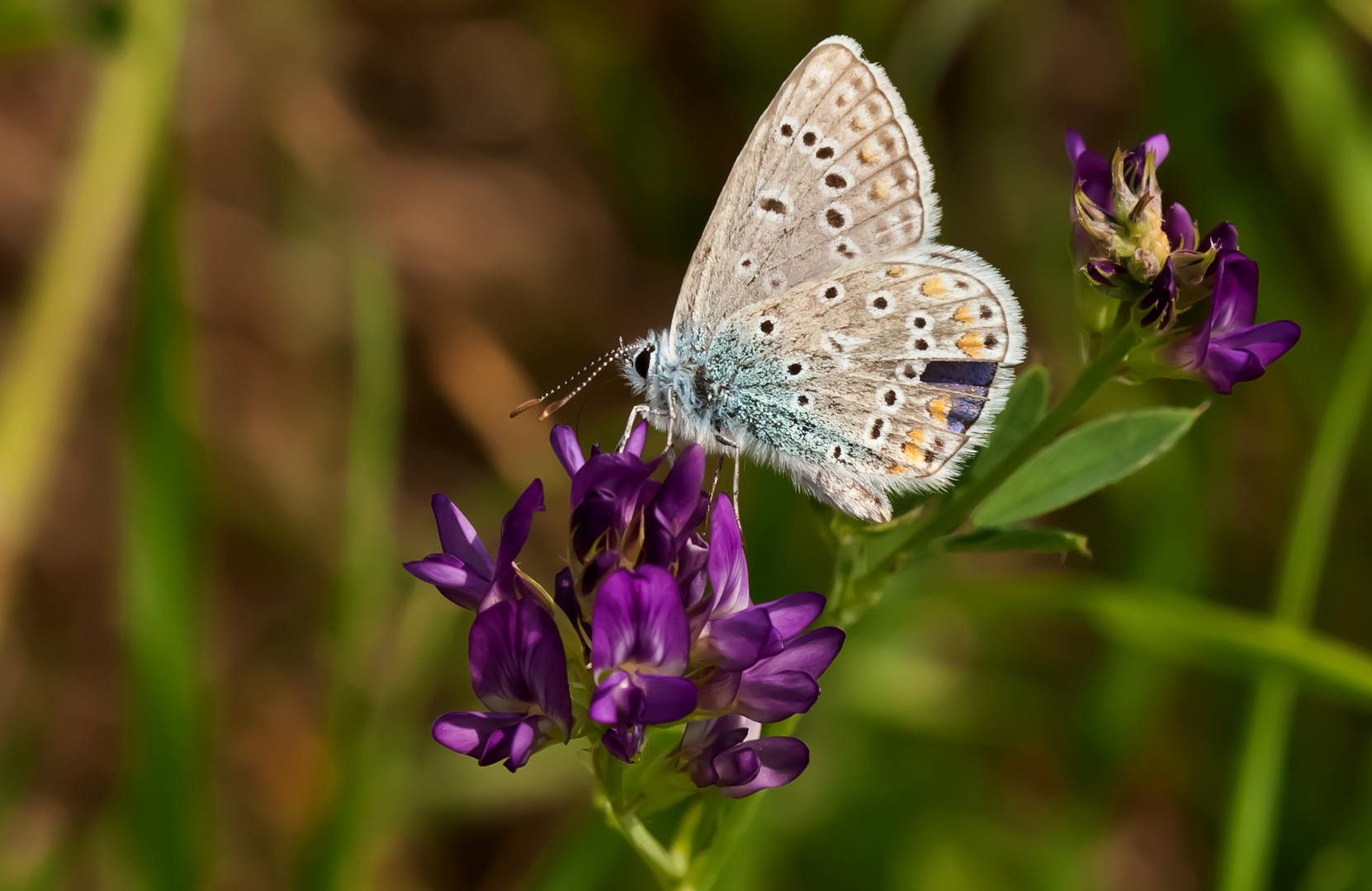 Himmelblau.....