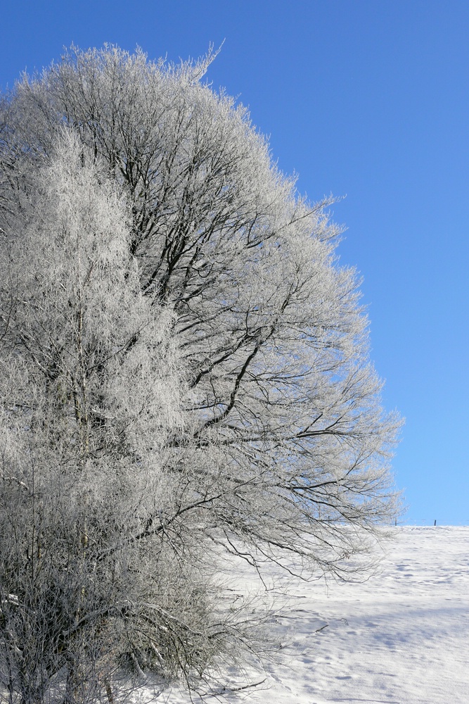 Himmelblau