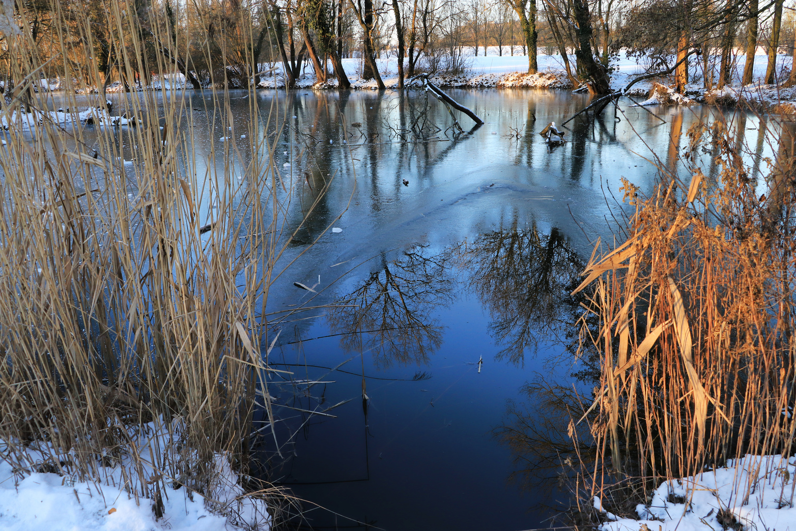 Himmelblau