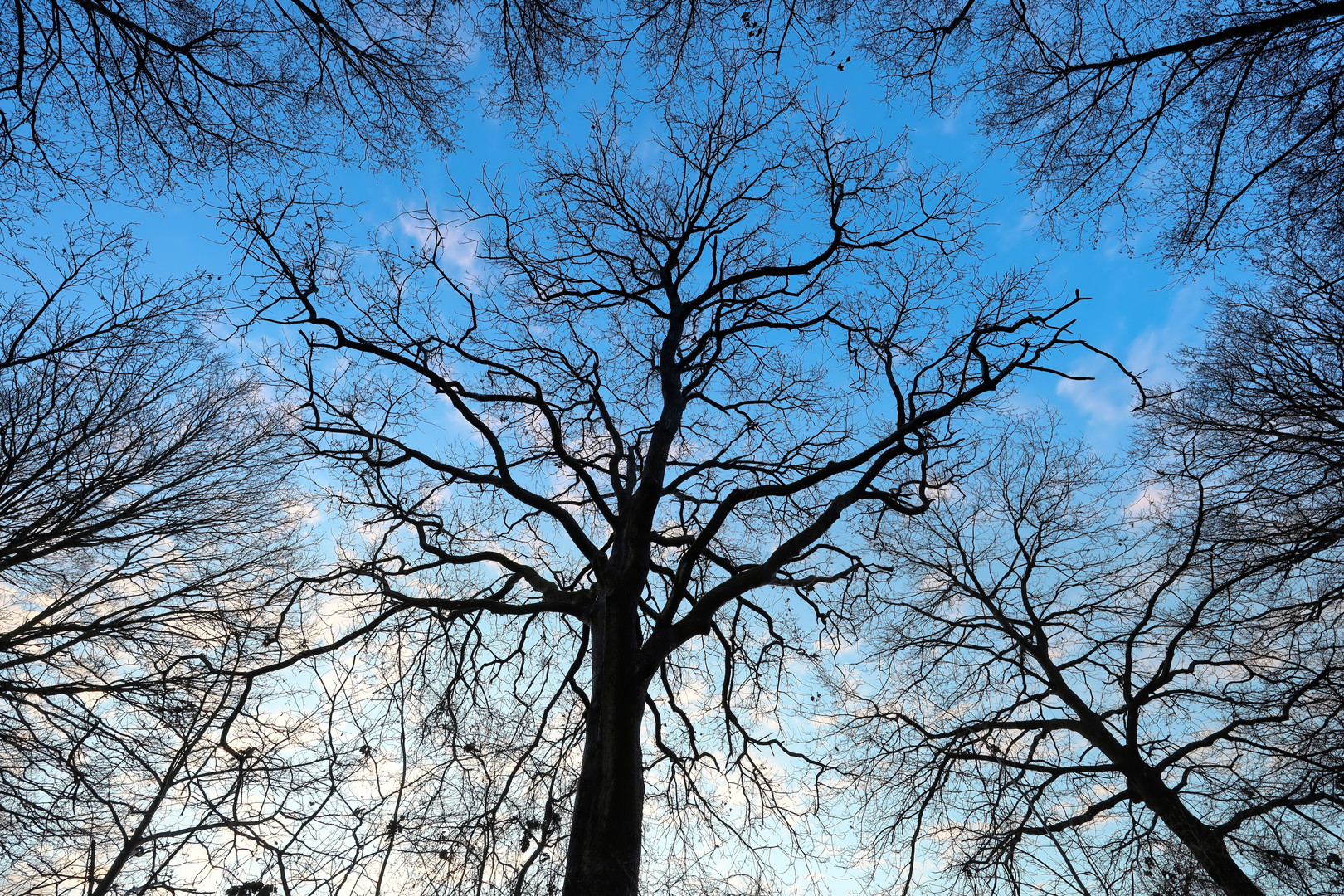 Himmelblau mit kleinen weissen Tupfern