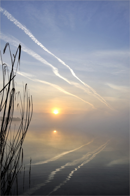 himmelblau mit Silberstreifen